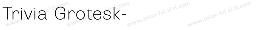 Trivia Grotesk字体转换
